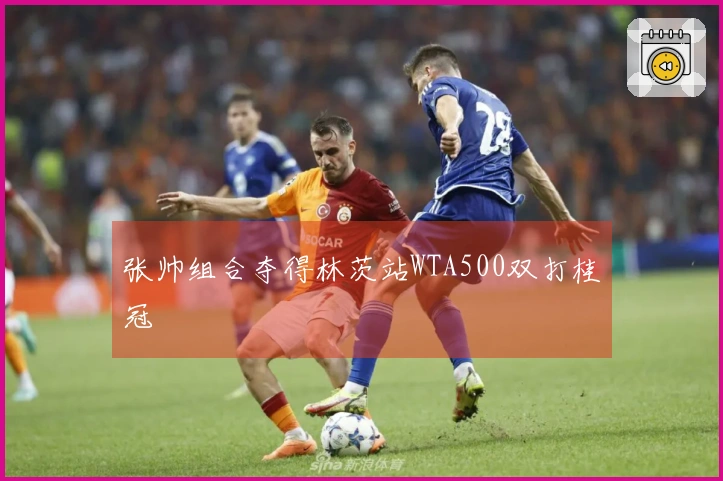 张帅组合夺得林茨站WTA500双打桂冠